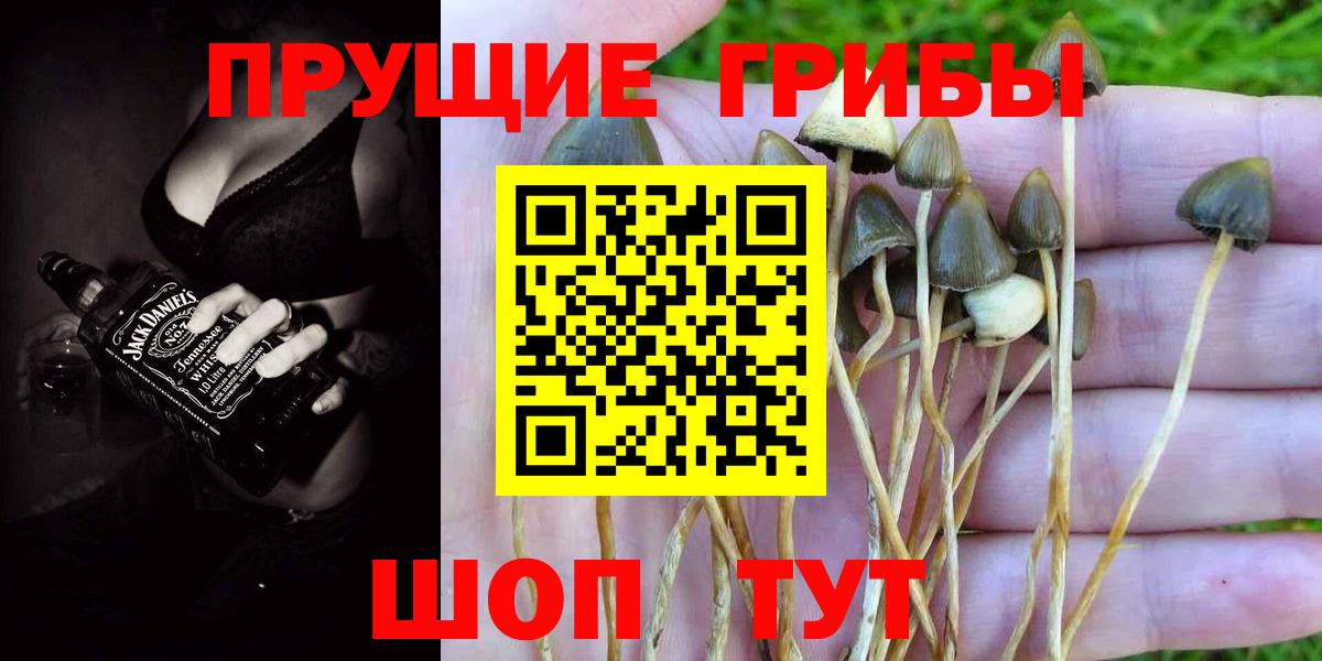 Галлюциногенные грибы ЛСД Карабулак